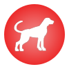 Signe du zodiaque chinois du chien