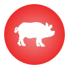 Signe du zodiaque chinois du cochon